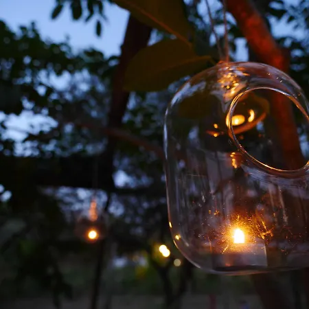 Fiori Di Campsite Noto