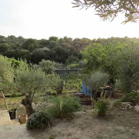 Fiori Di 3*