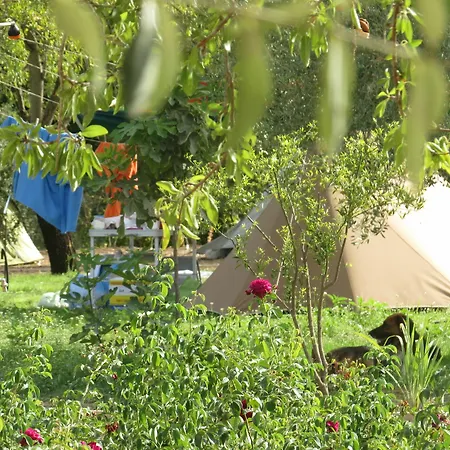Campsite Fiori Di 3*