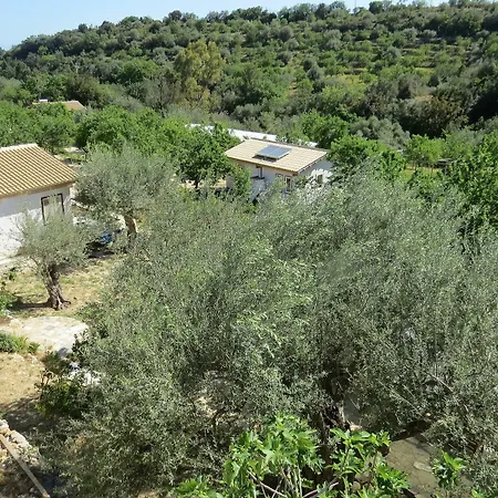 Fiori Di Campsite Noto
