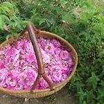 Camping Fiori Di