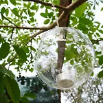 Camping Fiori Di
