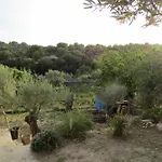 Fiori Di 3*