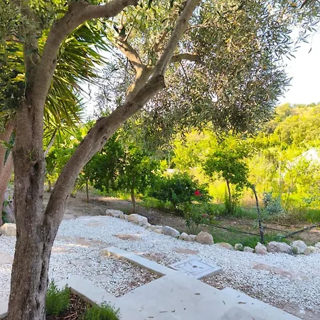 Fiori Di Noto