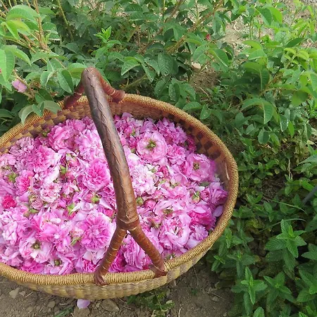 Parque de Campismo Fiori Di
