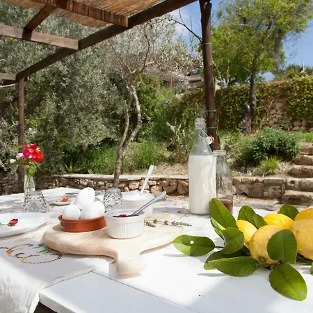Fiori Di مكان تخييم نوتو